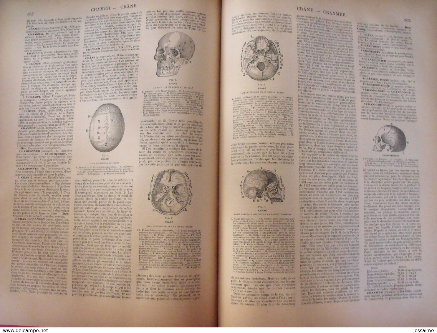 dictionnaire français illustré des mots et des choses. Larive & Fleury. 1904. en 3 tomes