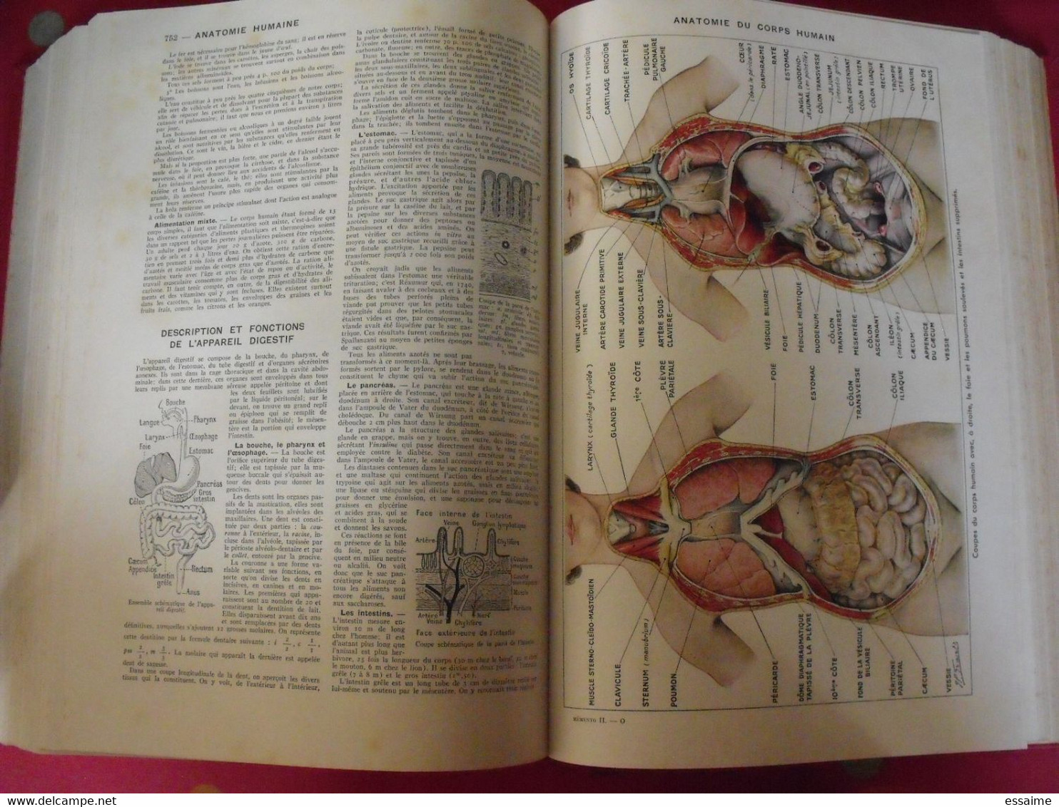 grand memento Larousse (en 2 tomes). 1936. geographie histoire beaux-arts physique chimie zoologie sports botanique