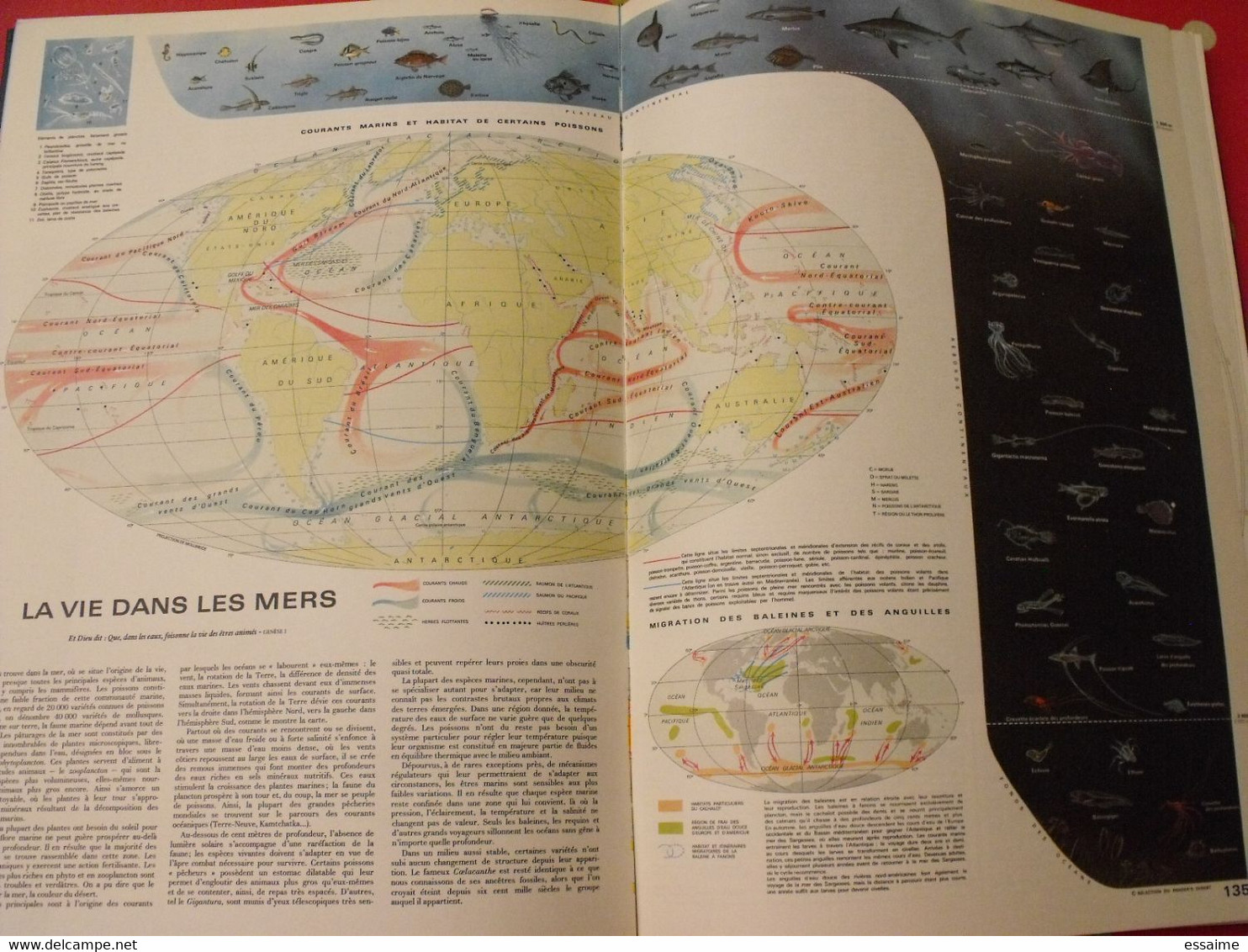 grand atlas mondial. très illustré et grand format. 1962