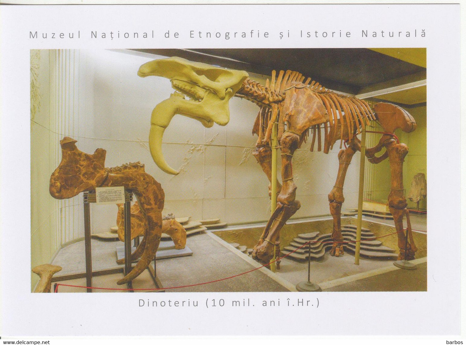 2021 , Moldova ,Moldavie , National Museum Of Ethnography And Natural History , Paleontology , Postcard - Moldova