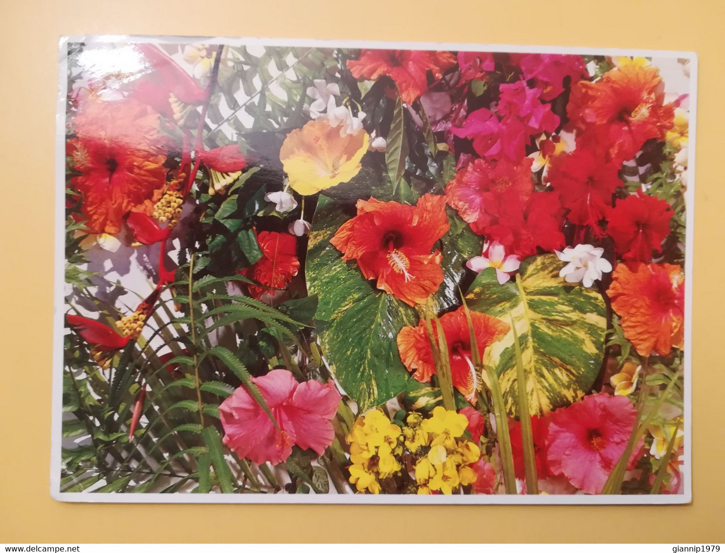 CARTOLINA POSTCARDS POLINESIA FRANCESE 1998 FIORI DI TAHITI FLOWERS FLEUR BOLLO AVIATION OBLITERE' PAPEETE - Polynésie Française