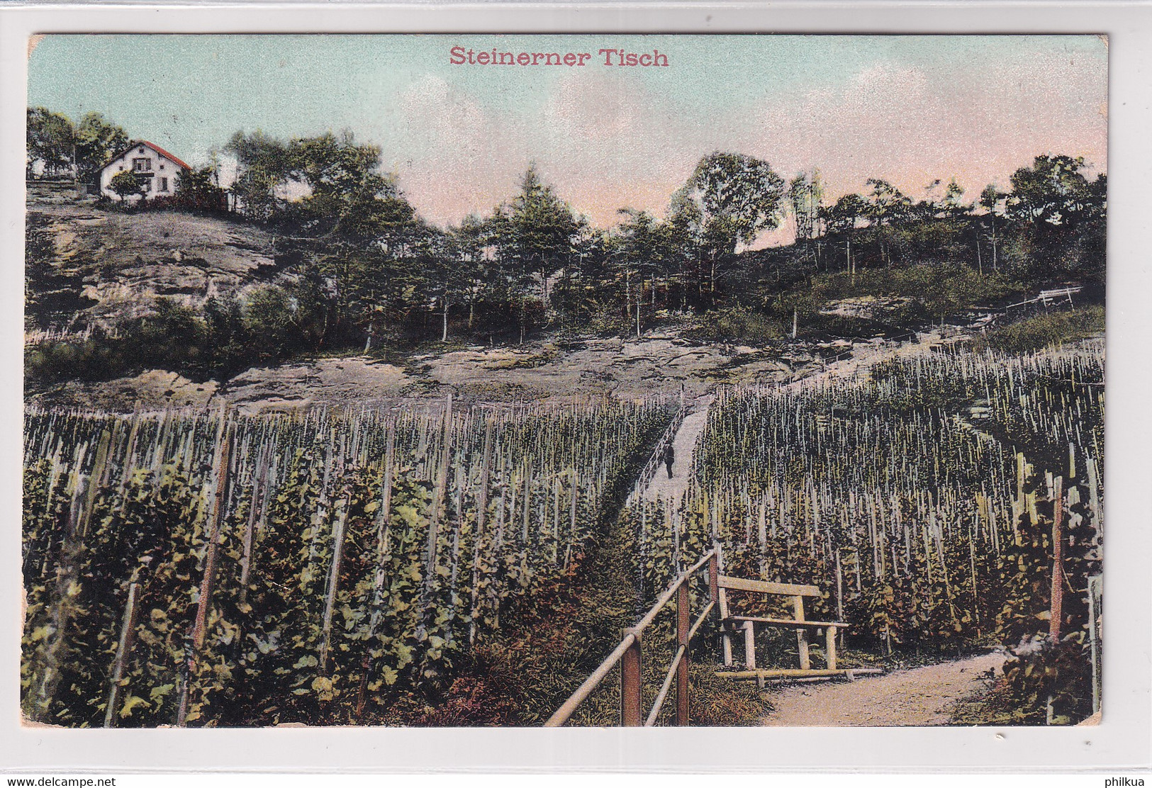 Steinerner Tisch - Thal - Thal