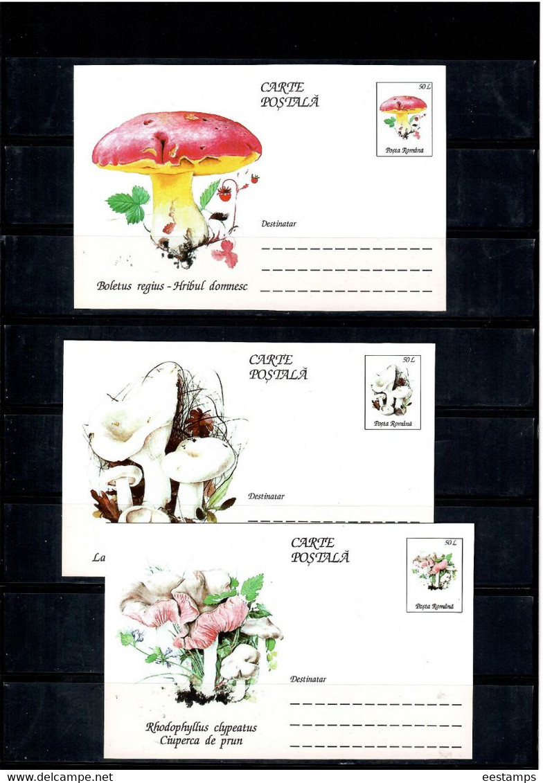 Romania 1995 . Mushrooms. 3 Postcards - Nuovi