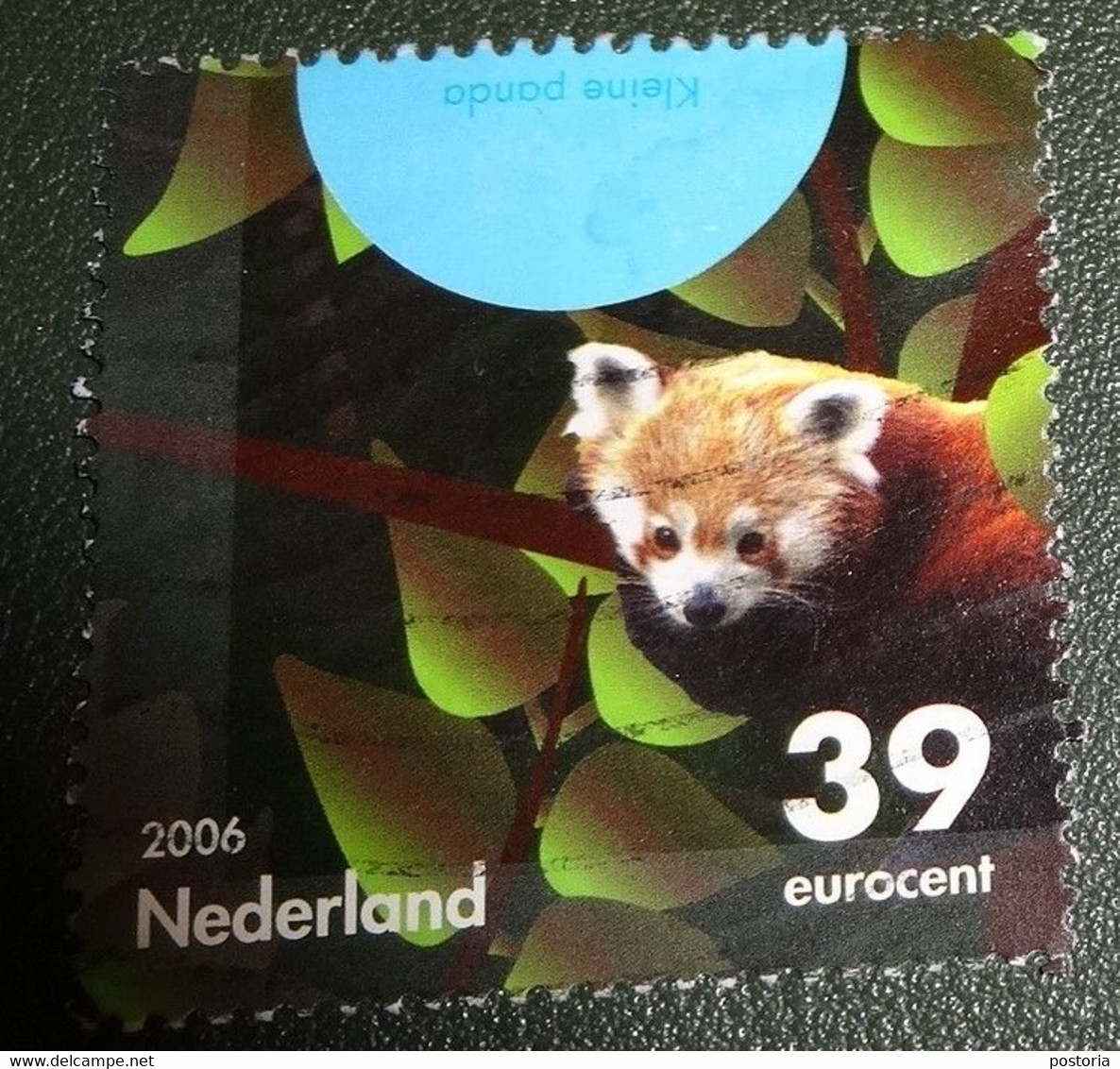 Nederland - NVPH - 2441f - 2006 - Gebruikt - Cancelled - Bedreigde Dieren - Kleine Panda - Usati