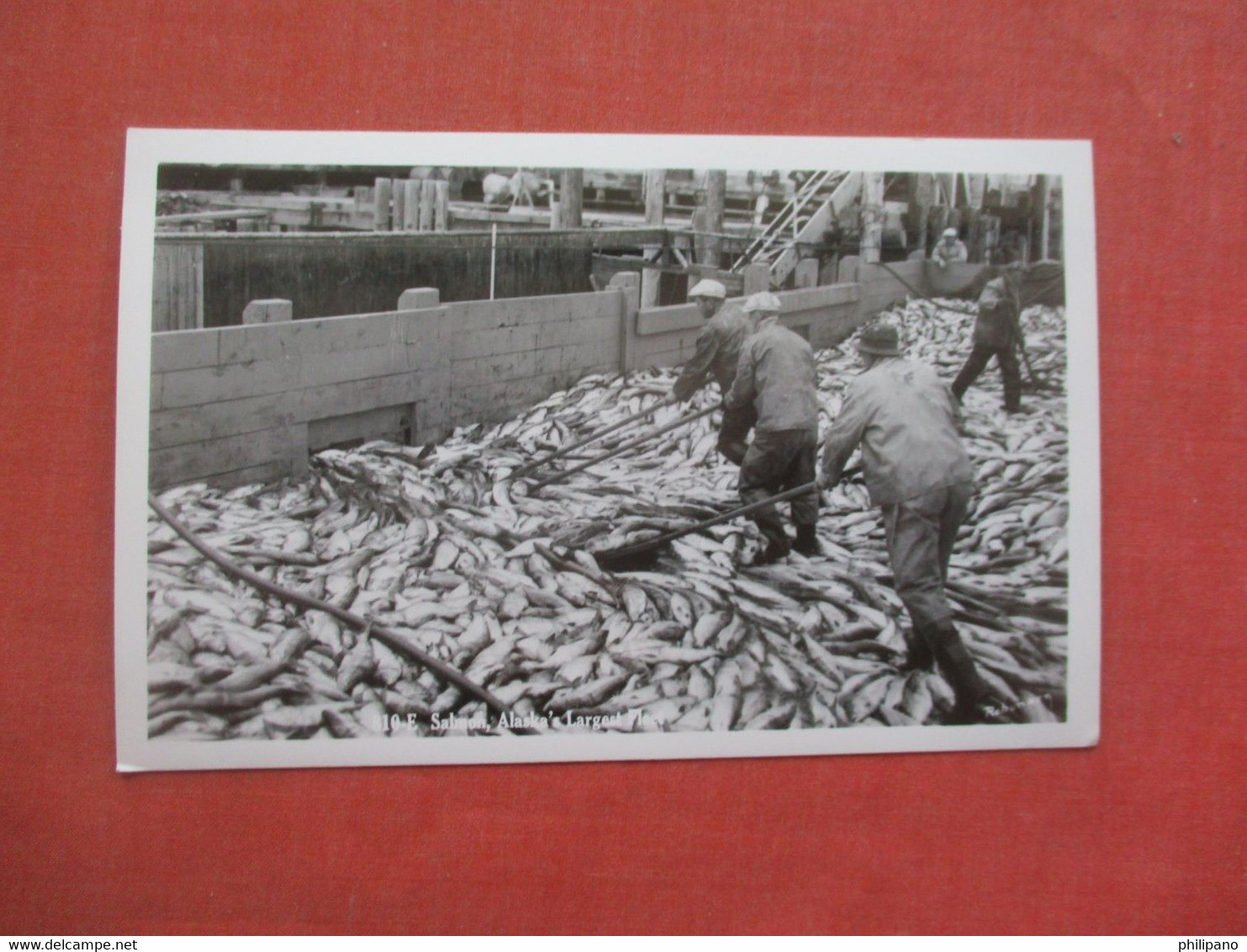 RPPC   Salmon Alaska's Largest   Fleet  Ref 5195 - Yukon