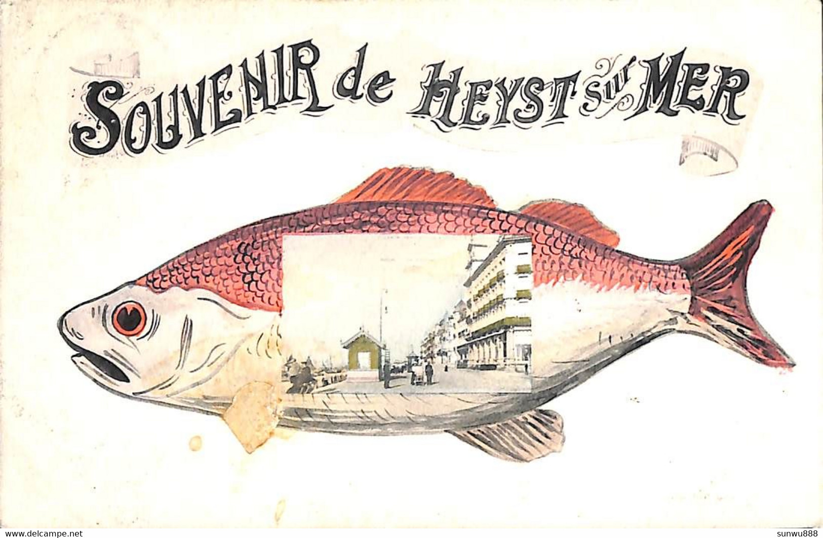 Heist - Heyst - Souvenir De (poisson 1908 Phototypie Marco Marcovici) - Heist