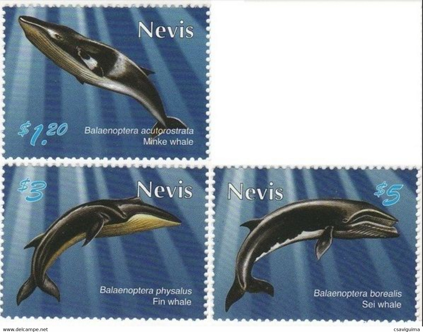 Nevis - 2010 - Whales - Yv 2131 + 2133/34 - Balene