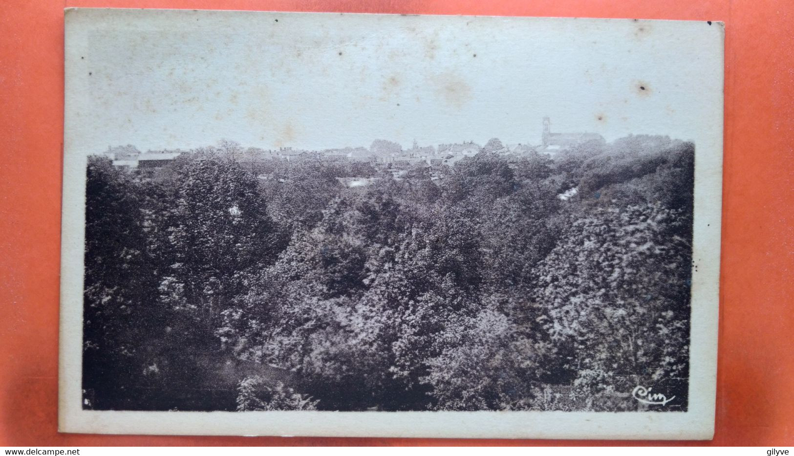 CPA (85)  Les Lucs Sur Boulogne Vue à Vol D'oiseau. (AB.218) - Les Lucs Sur Boulogne