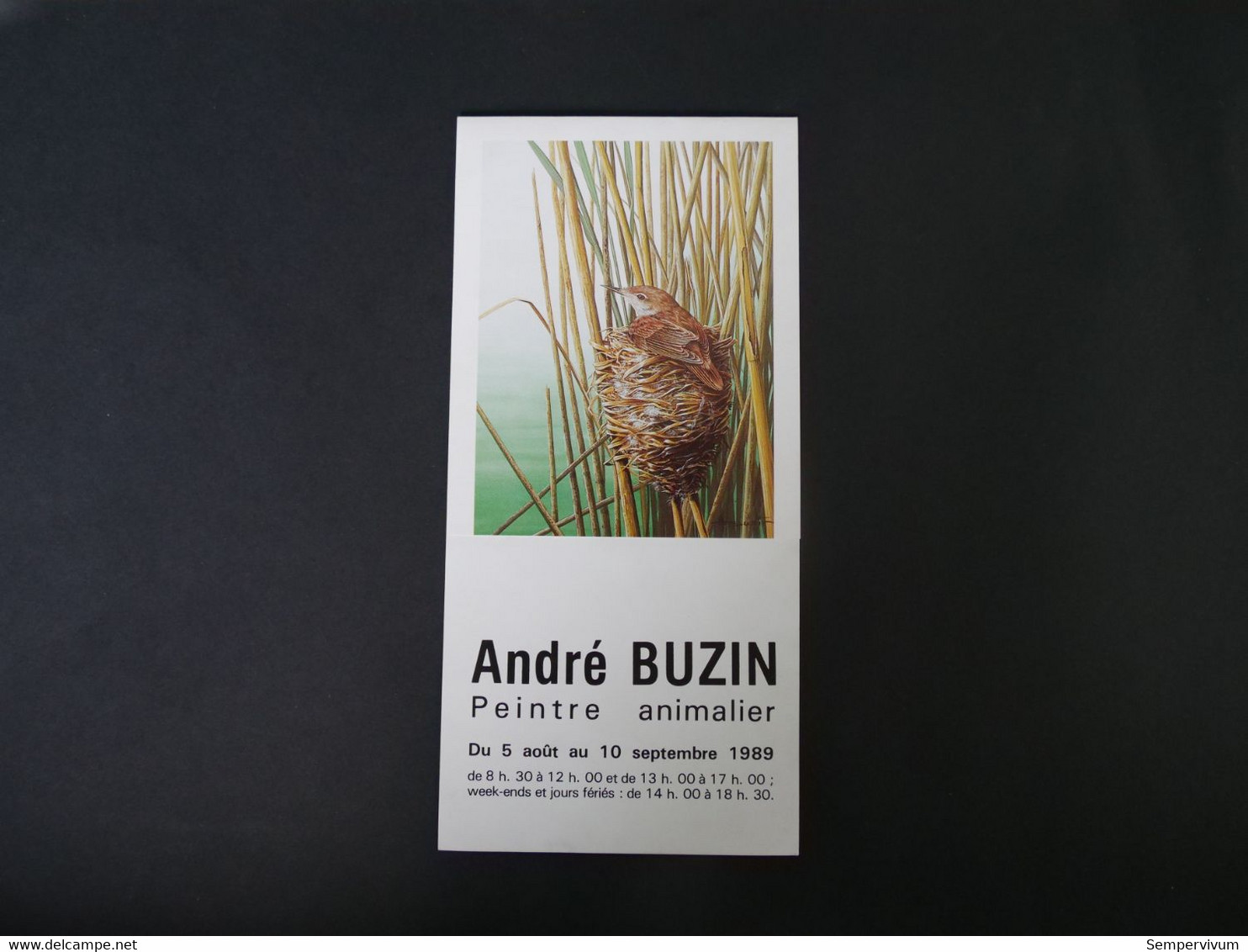 Buzin Folder Peintre Animalier - 1985-.. Birds (Buzin)