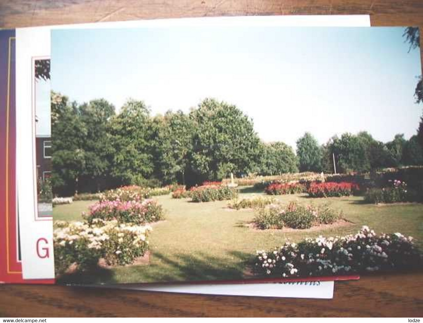 Nederland Holland Pays Bas Winschoten Met Rosarium Foto - Winschoten