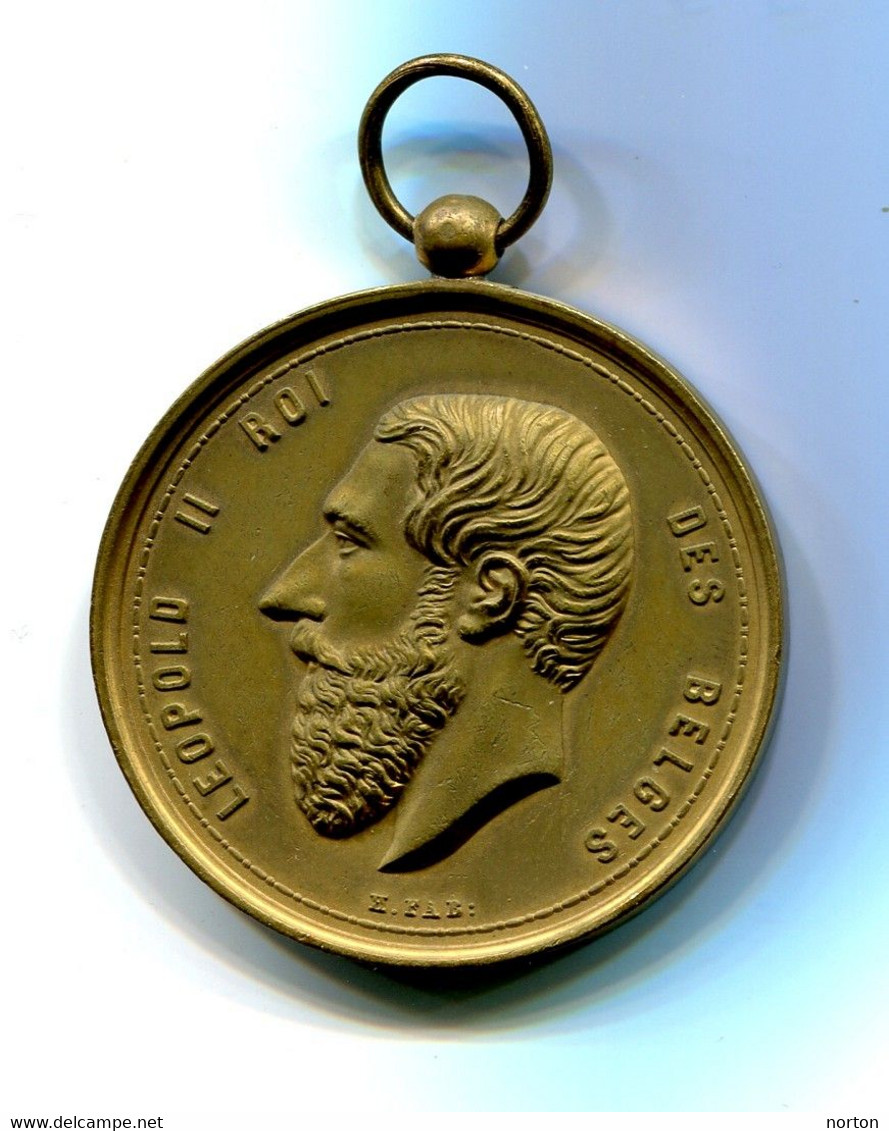 Médaille Léopold II Société Sainte Cécile De Wiers 1878, 46 Mm, 25 éme Anniversaire Et Inauguration Du Drapeau Royal - Other & Unclassified