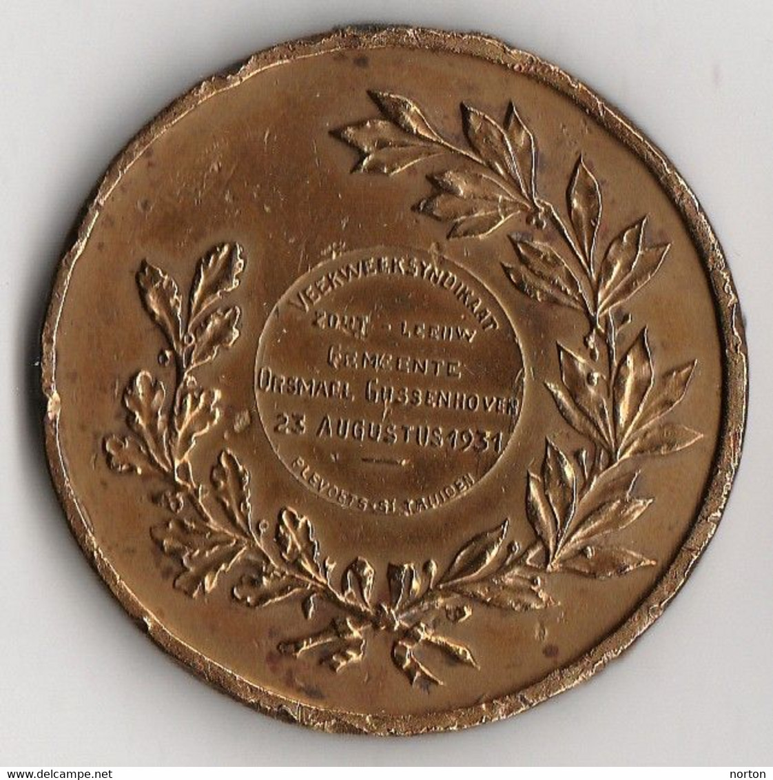 Médaille Léopold I – II – Albert I - Plevoets-St-Truiden 1931, 50 Mm, Bronze - Sonstige & Ohne Zuordnung