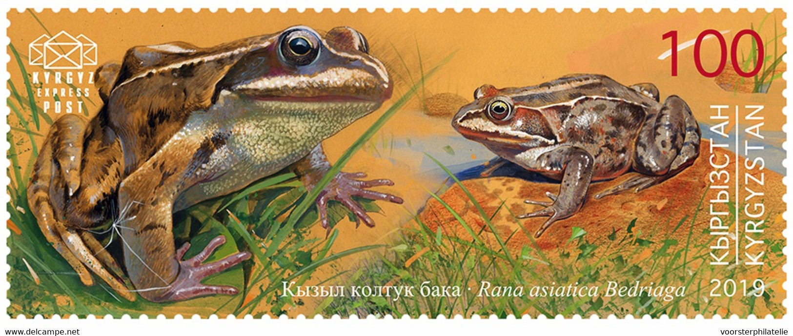 M3-52 ++ KYRGYZSTAN KIRGISTAN 2019 Reptiles And Amphibians MNH NEUF ** - Kirgizië