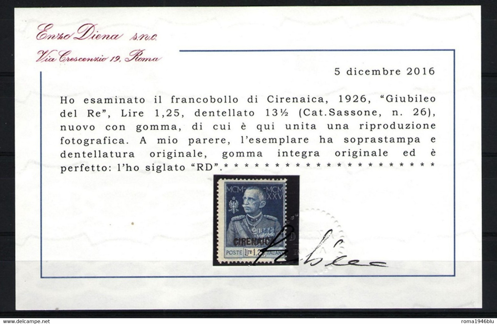 CIRENAICA 1925 GIUBILEO DEL RE L. 1,25 DENT. 13 1/2 N.26 ** MNH LUSSO C. DIENA - Cirenaica