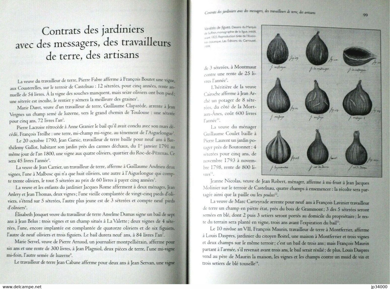 LES JARDINIERS DE MONTPELLIER par Xavier AZEMA (2006) ouvrage neuf (languedoc, Montpellier, regionalisme)