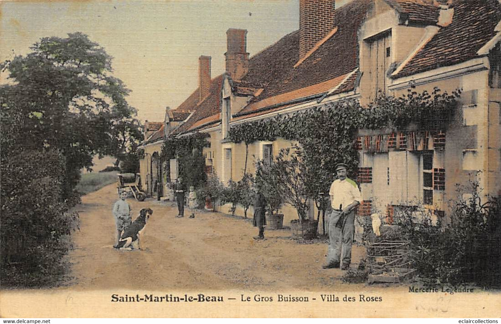 Saint-Martin-le-Beau        37        Le Gros Buisson. Villa Des Roses   . Colorisée Et Toilée        (voir Scan) - Other & Unclassified
