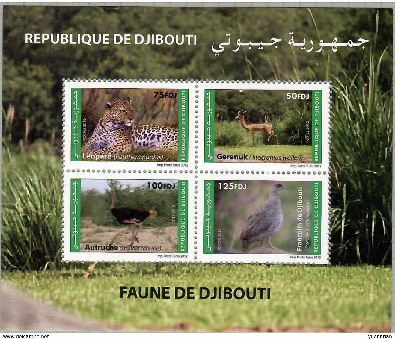 Djibouti 2012, Bird, Birds,  Spurfowl, Ostrich, M/S Of 4v, MNH** - Autruches