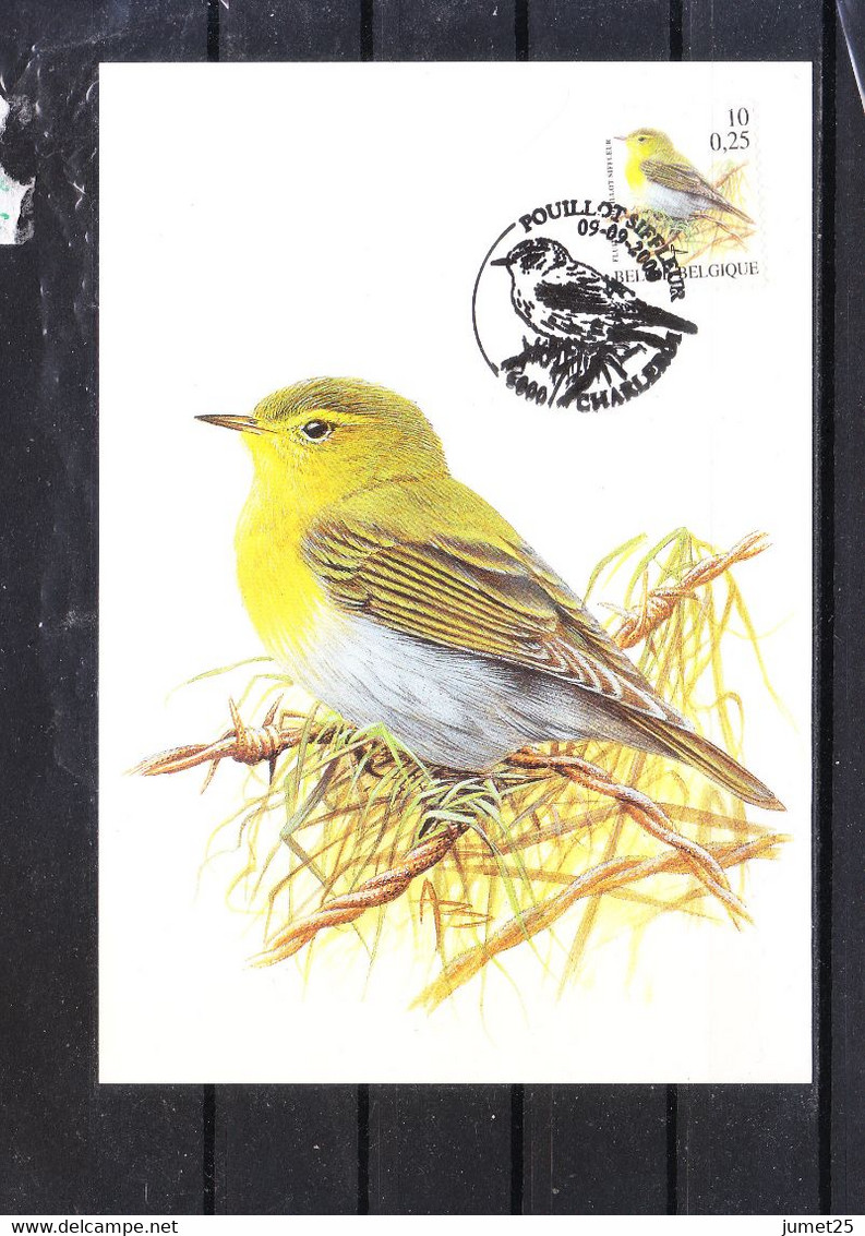 2936 Buzin - Pouillot Siffleur - 1985-.. Birds (Buzin)