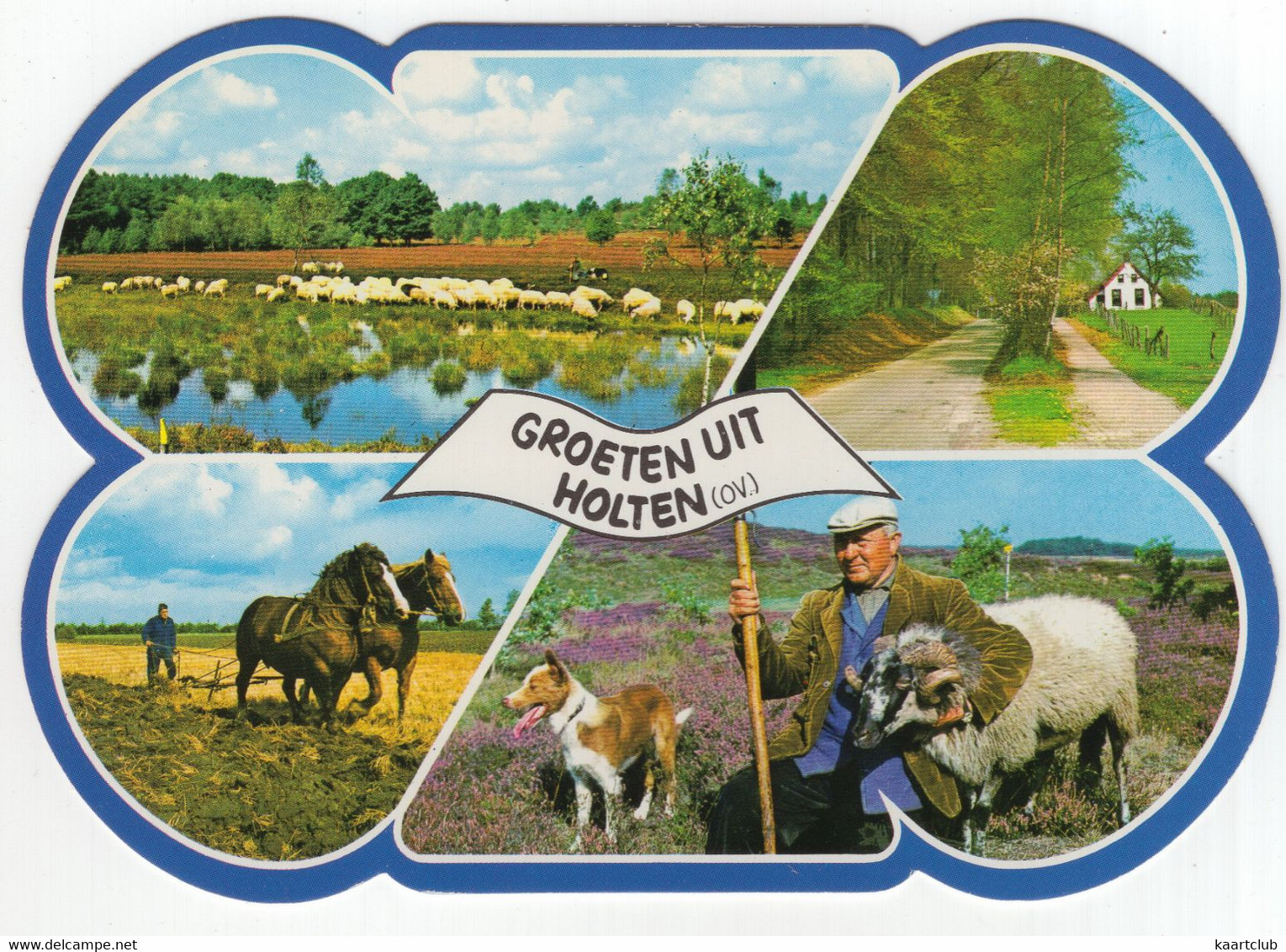 Groeten Uit Holten (OV.)  - (Nederland / Holland) - Ram, Paarden, Hond, Schapen - Nr. L 4394S - Holten