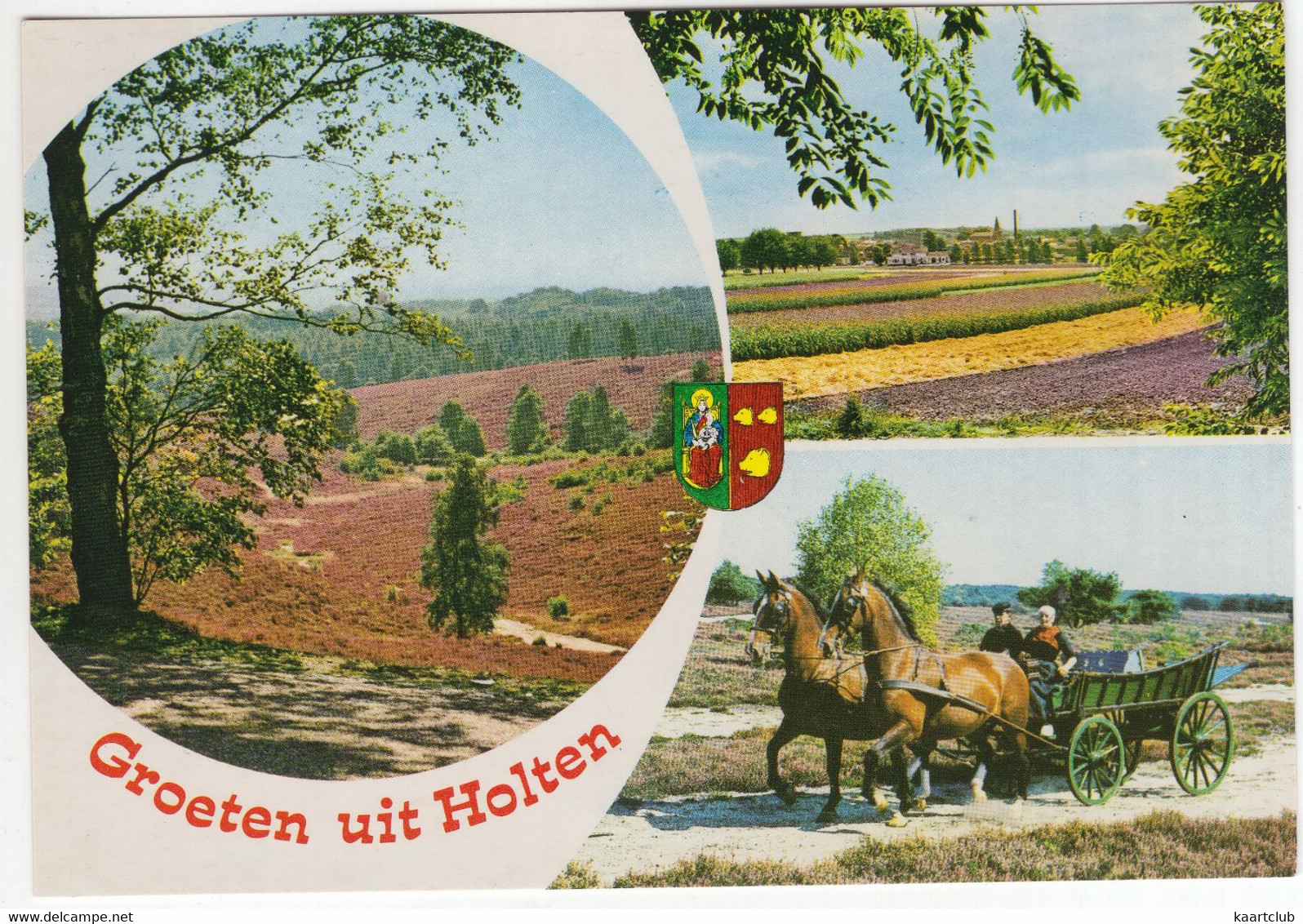 Groeten Uit Holten (OV.)  - (Nederland / Holland) - Nr. HON 2 - Heide, Paarden, Boerenwagen, Klederdracht - Holten