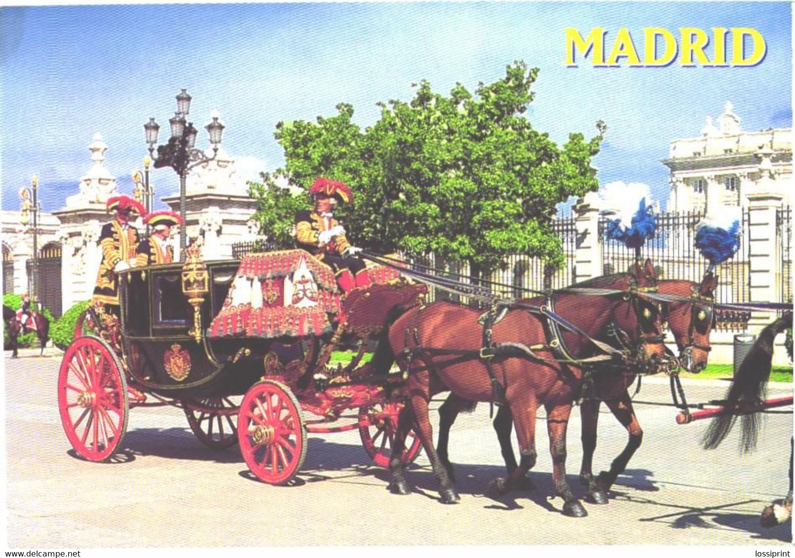 Horse, Spain:Madrid, Palacia Real, Horses With Coach - Horses