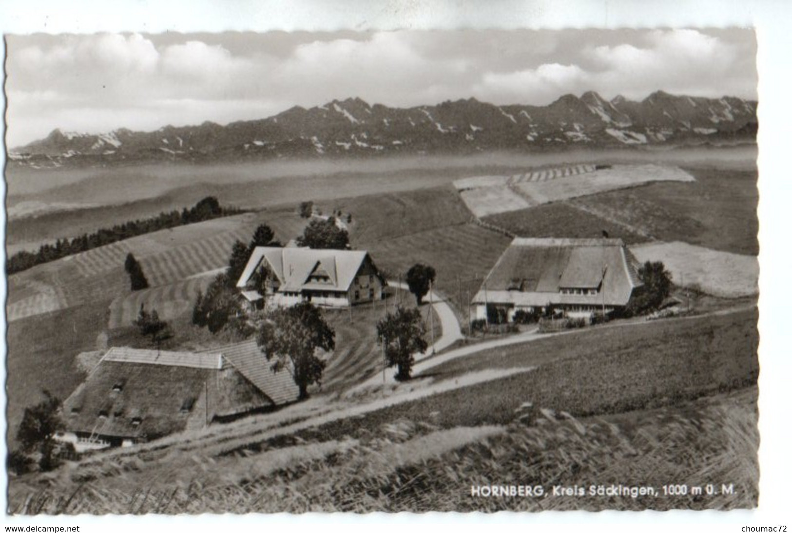 (Bade Wurtemberg) 154, Hornberg, Kreis Säckingen, Jagerstübli - Hornberg