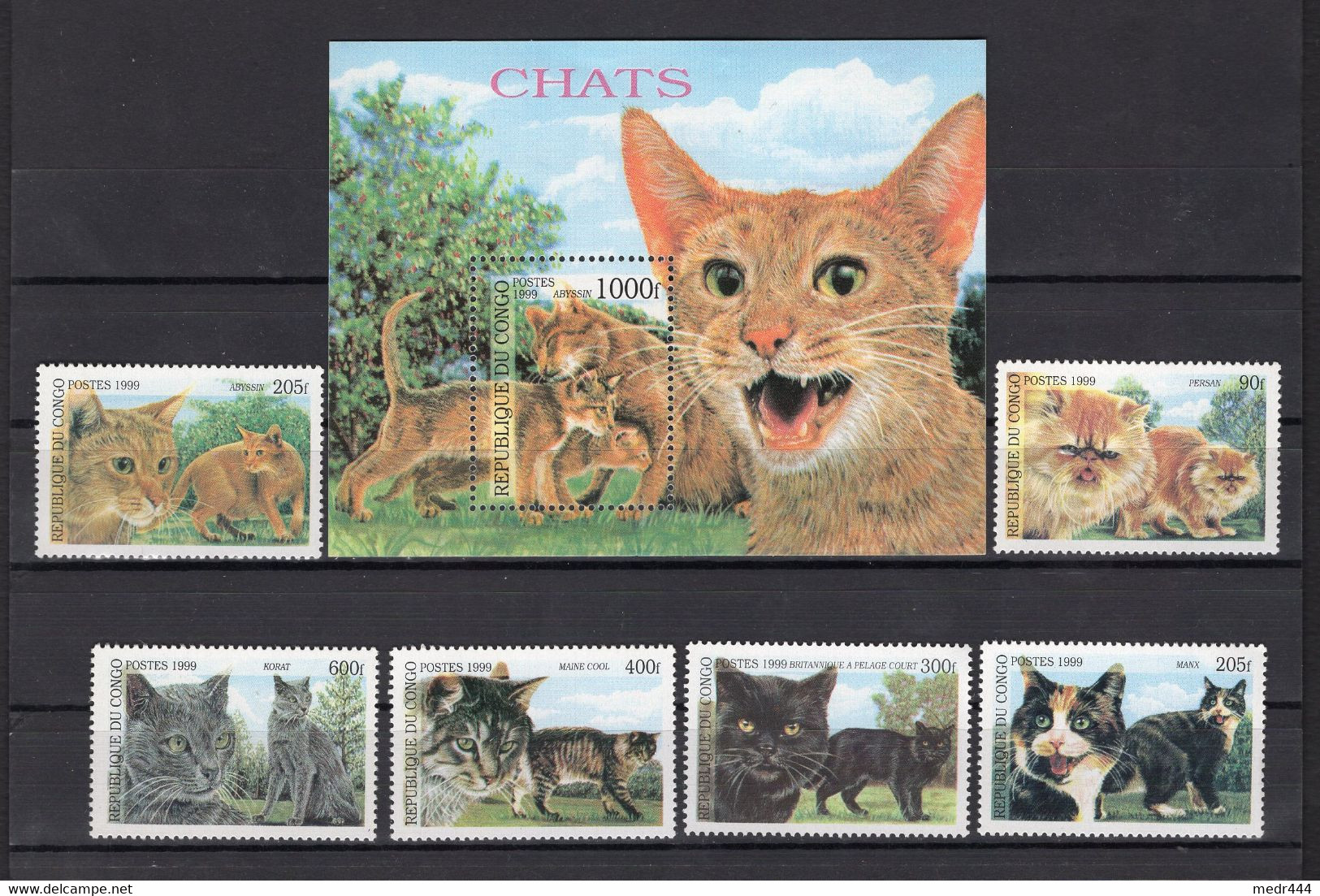 Congo Republic - 1999 - Domestic Animals - Cats/Chats - Minisheet + Stamps 6v - MNH** - Superb*** - Sammlungen