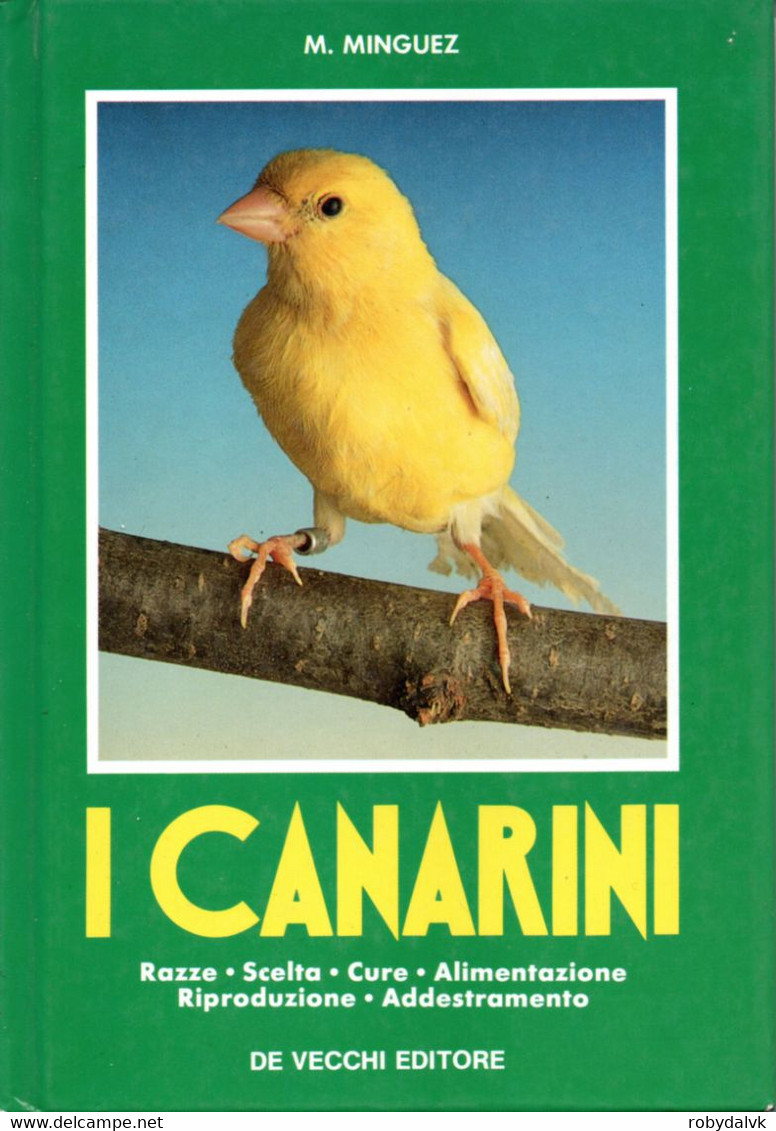 D21X45 - M.MIMGUEZ : I CANARINI - Animali Da Compagnia