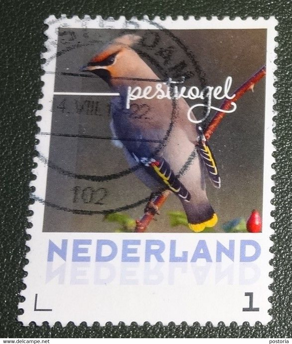 Nederland - NVPH - 3013 - Vogels - 2017 - Persoonlijk Gebruikt - Cancelled - Vogels - Pestvogel - Timbres Personnalisés