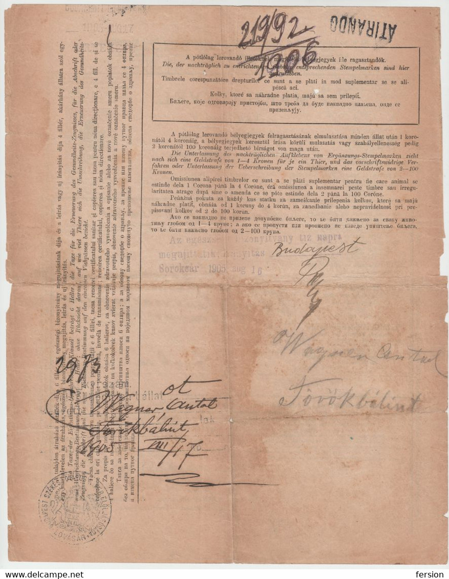 1905 Hungary Serbia SHS Yugoslavia REVENUE STAMP Animal Passport TAX Pig BÁCS BODROG County SZABADKA Subotica - Fiscale Zegels