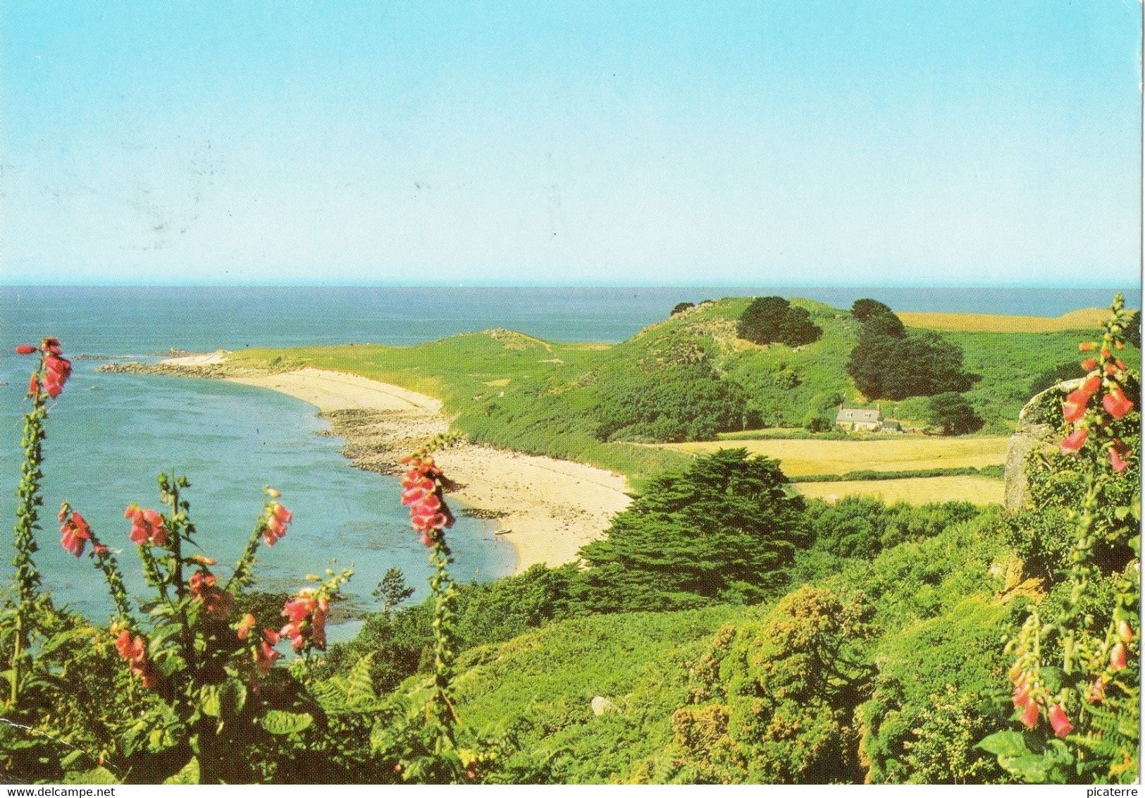 Highest Point Of Herm Looking North Towards Monk's Hill -1970s (Jarrold H14) - Herm