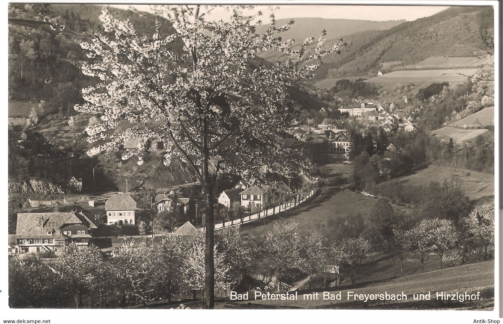 Bad Peterstal Mit Bad Freyersbach Und Hirzighof V. 1956 (53608) - Bad Peterstal-Griesbach