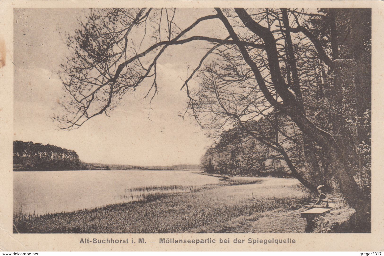 A115) ALT BUCHHORST I. M. - Möllensee Partie Bei Der Spiegelquelle ALT !! 08.02.1926 - Grünheide