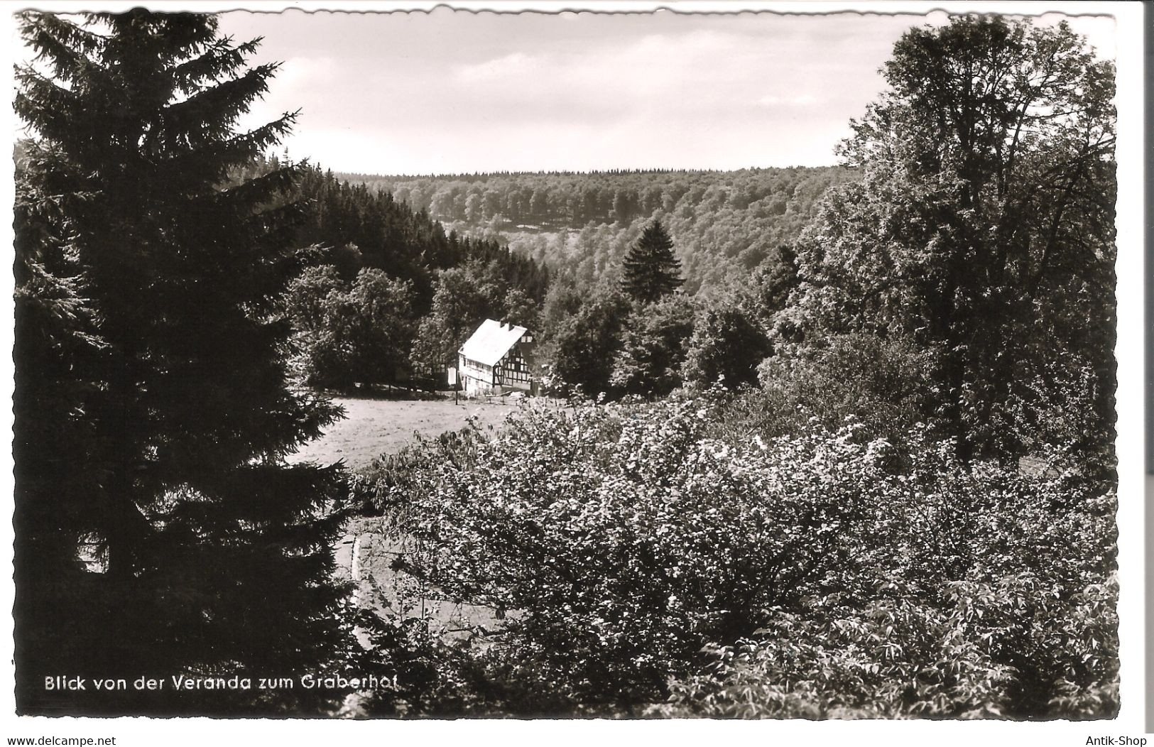 Hoheleye (Hochsauerland) - Blick Von Der Veranda Zum Graberhof  V. 1950 (53612) - Winterberg