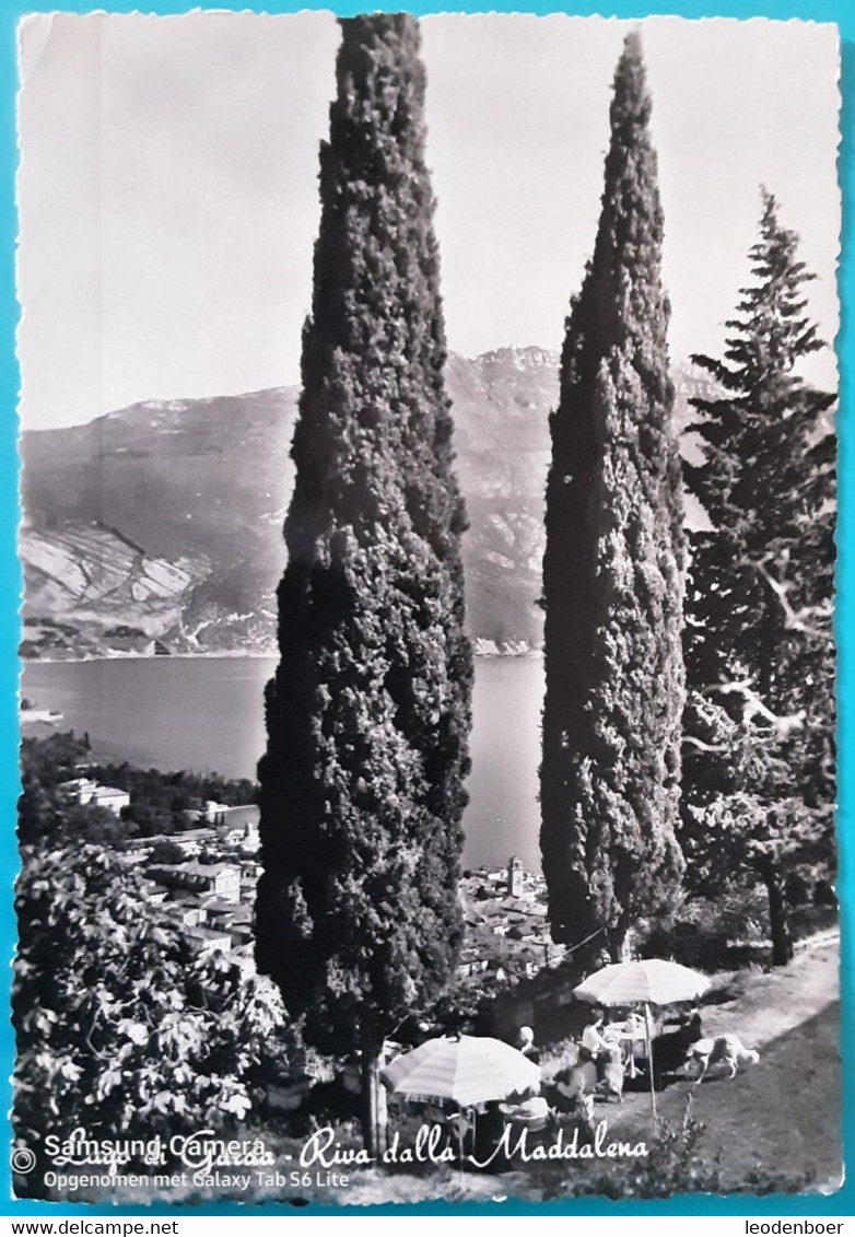 Riva Dalla Maddalena -'Lago Di Garda - Olbia