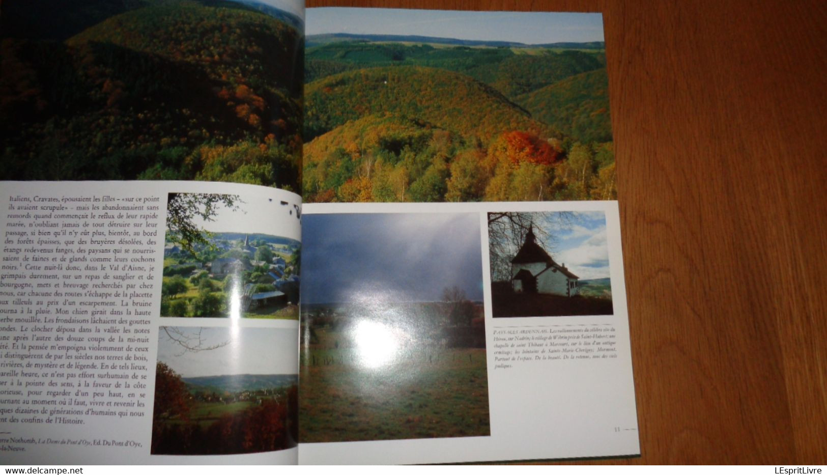 EN LUXEMBOURG La Vie En Ardenne En Famenne En Gaume Et Au Pays D'Arlon Omer Marchal Régionalisme Ruralité Forêt Histoire - Belgique