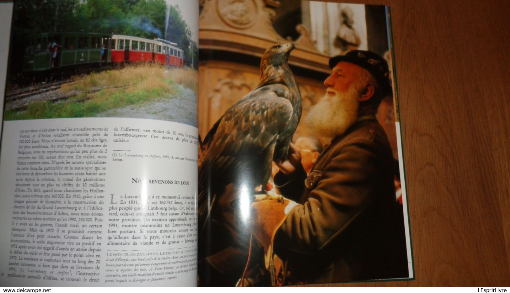 EN LUXEMBOURG La Vie en Ardenne en Famenne en Gaume et au Pays d'Arlon Omer Marchal Régionalisme Ruralité Forêt Histoire