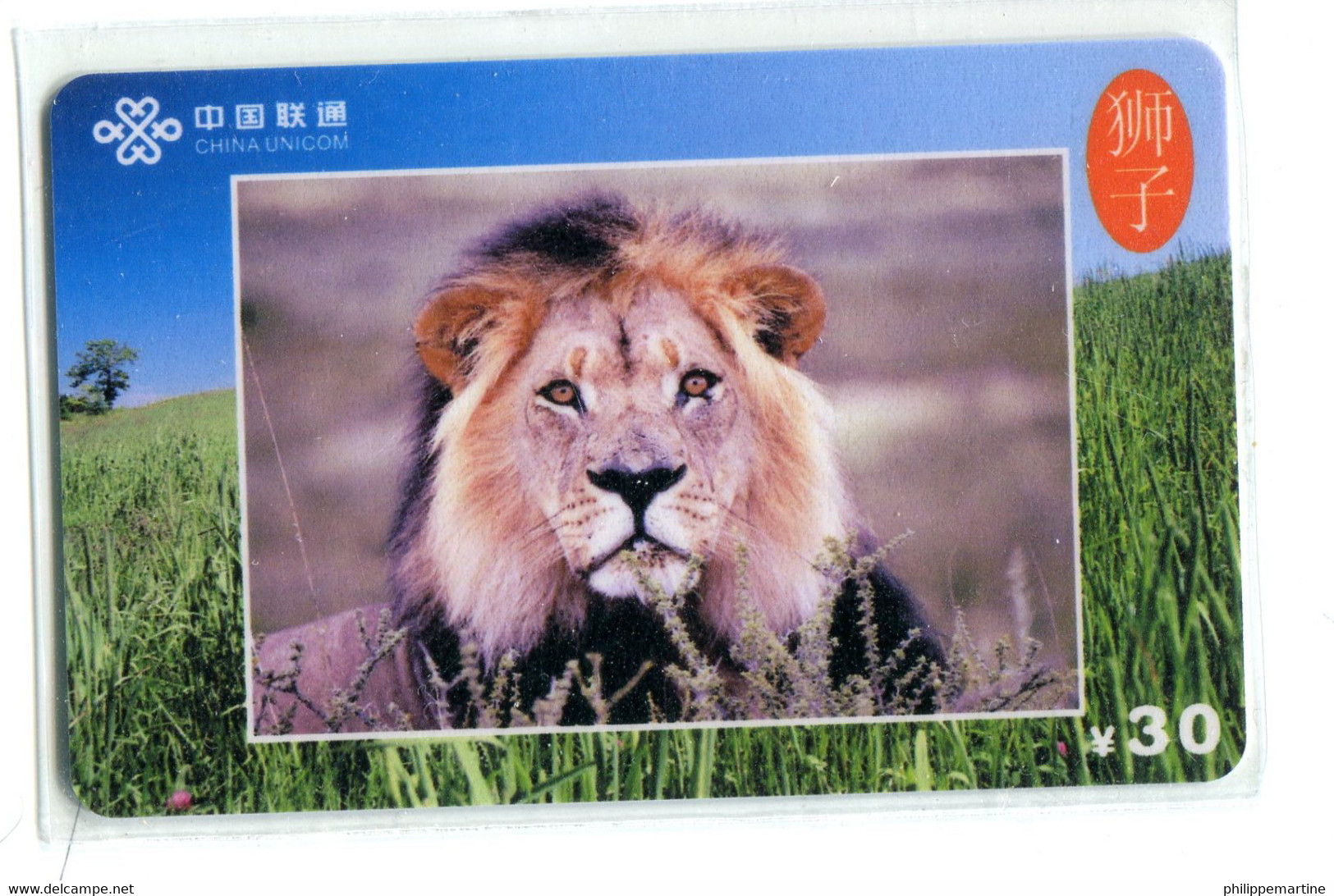 Télécarte China Unicom : Lion(s) - Oerwoud