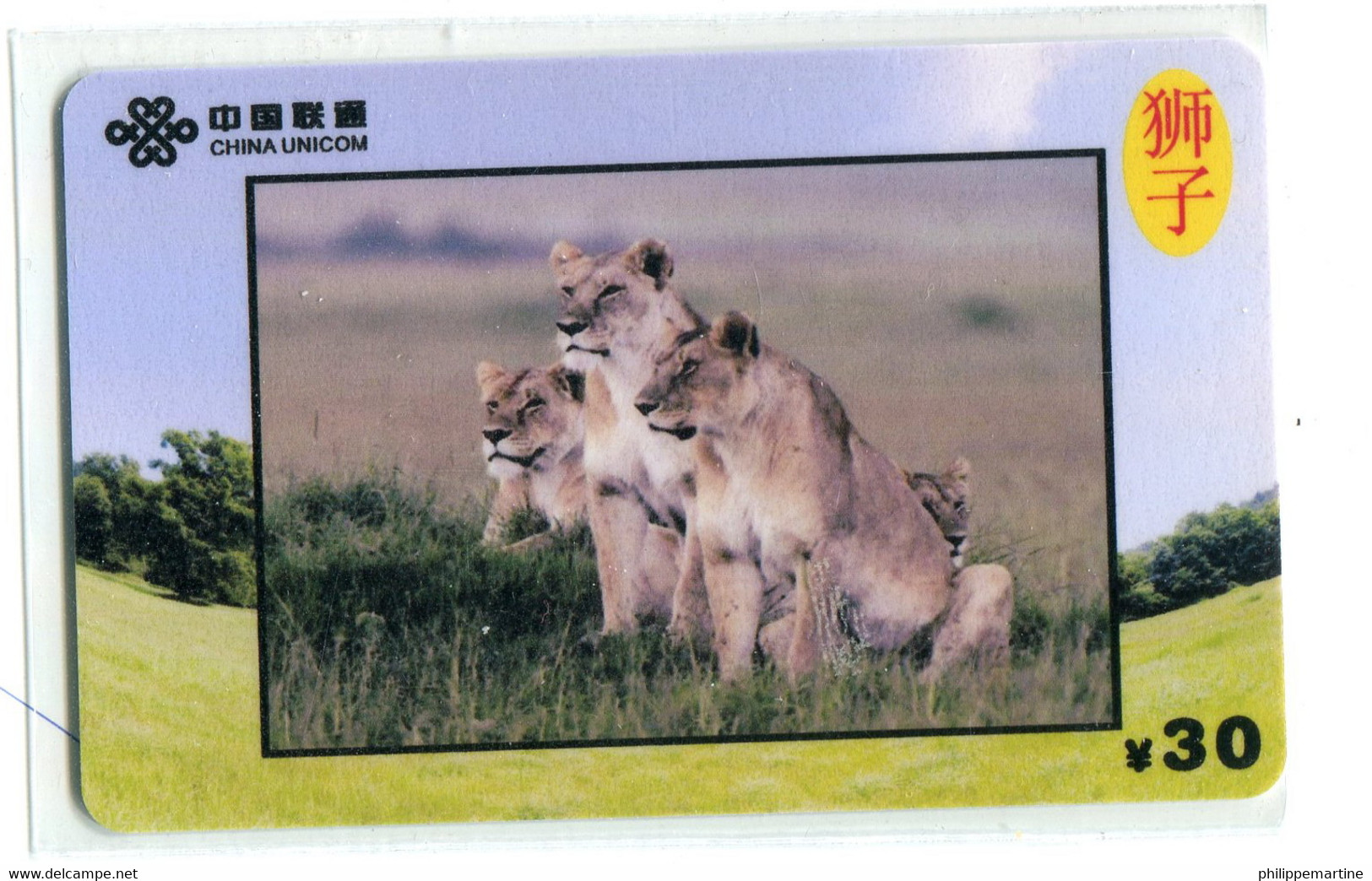 Télécarte China Unicom : Lion(s) - Dschungel