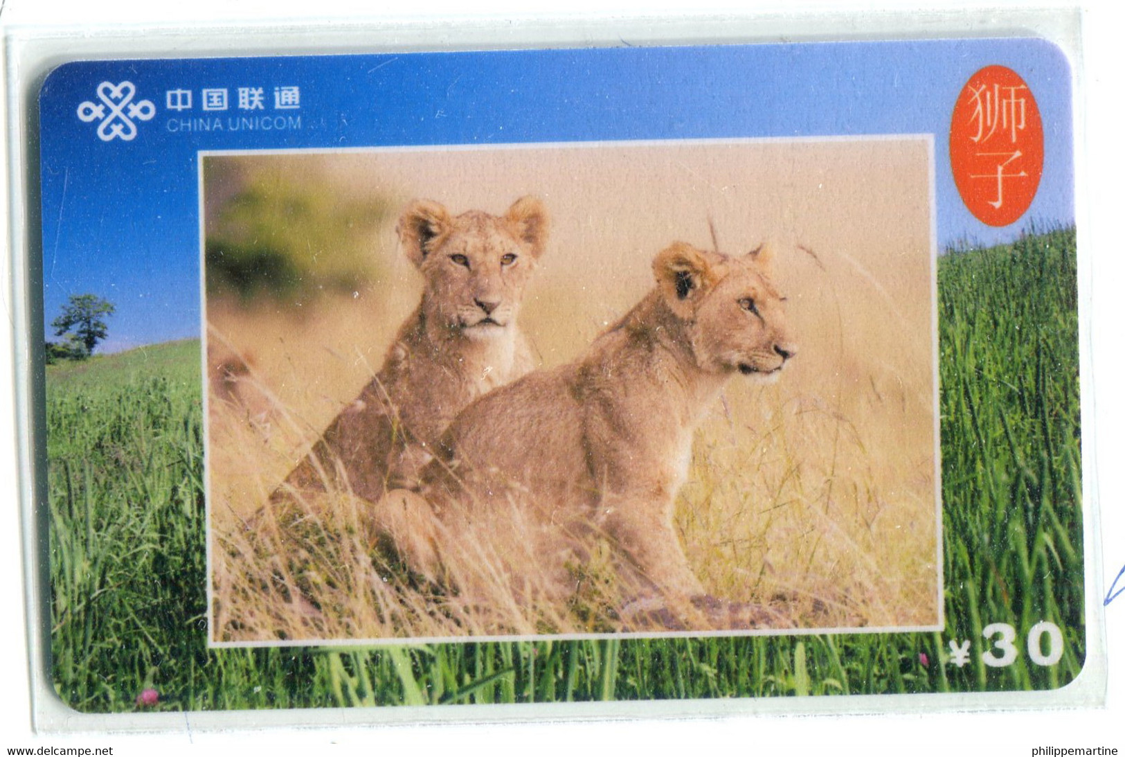 Télécarte China Unicom : Lion(s) - Oerwoud