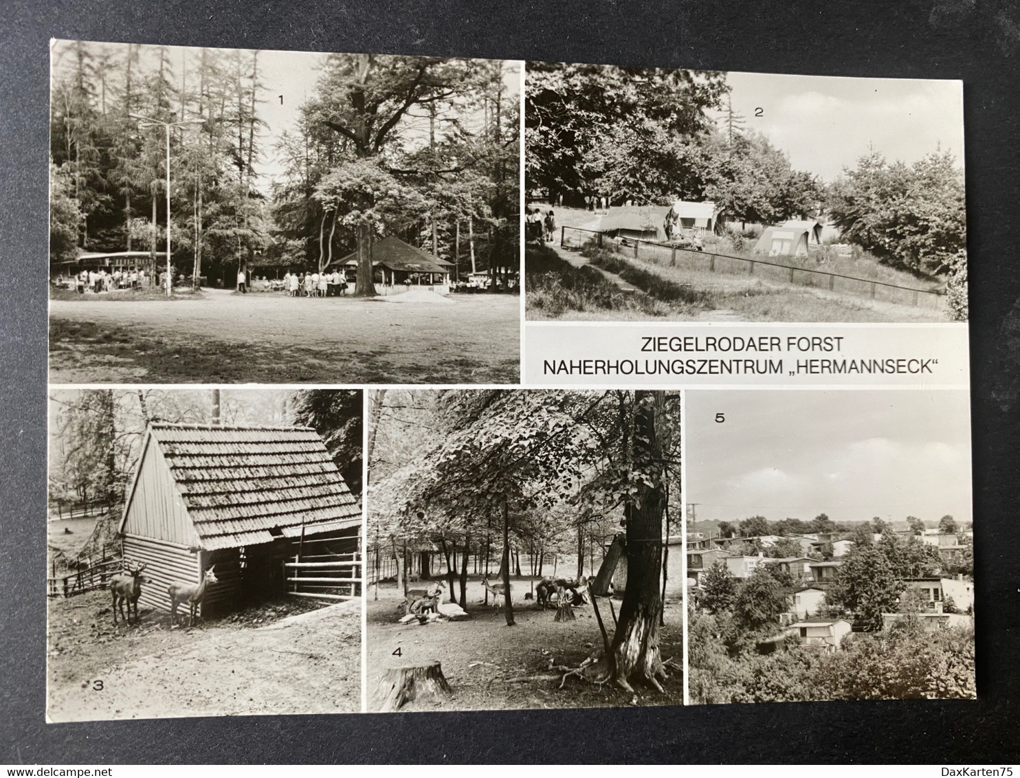 Querfurt Ziegelrodaerforst/ Mehrbild Tierpark Hermannseck - Querfurt