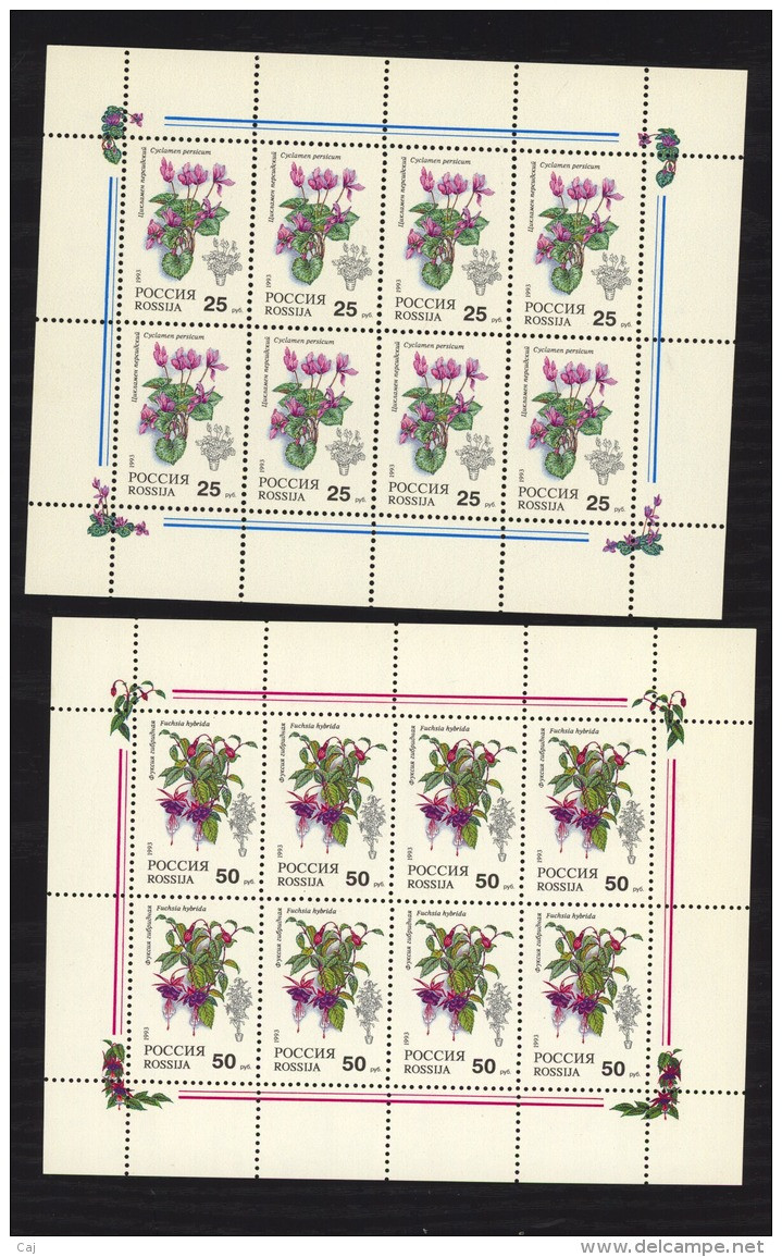 Russie  -  Feuilles  :  Mi  298-99   **    Fleur - Flower - Feuilles Complètes