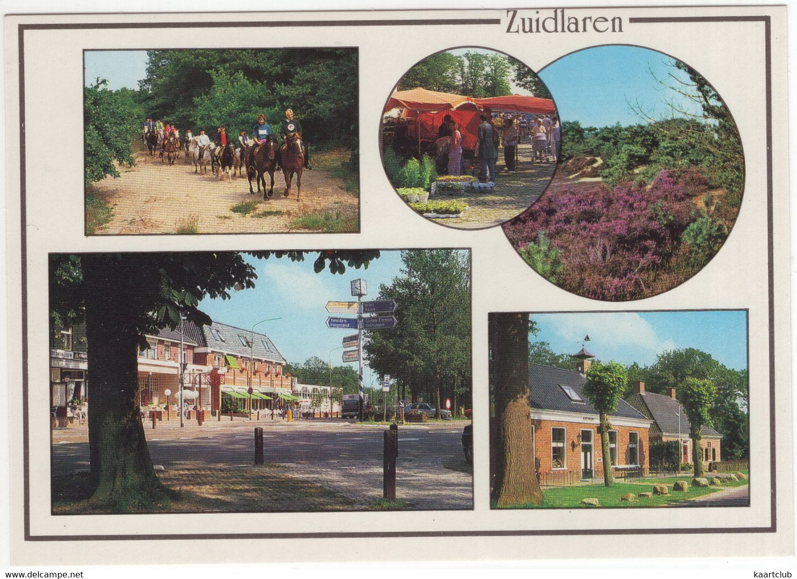 Zuidlaren - Hotel, Heide, Ruiters, Markt Etc- (Nederland / Holland) - ZUN 8 - Zuidlaren