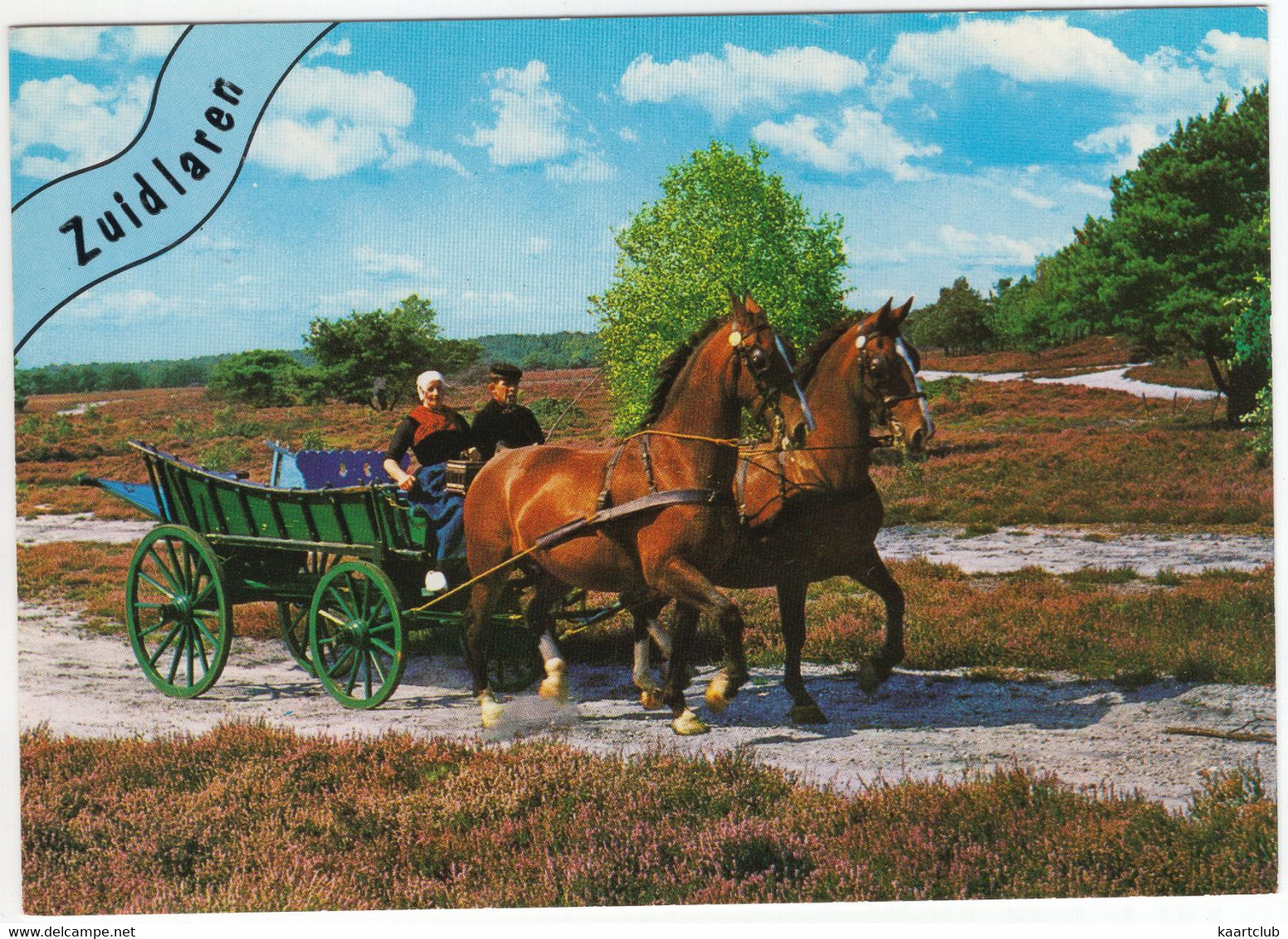 Zuidlaren - Paardenspan, Boerenwagen, Boer En Boerin, Klederdracht, Heide - (Nederland / Holland) - Nr. L 1921 - Zuidlaren