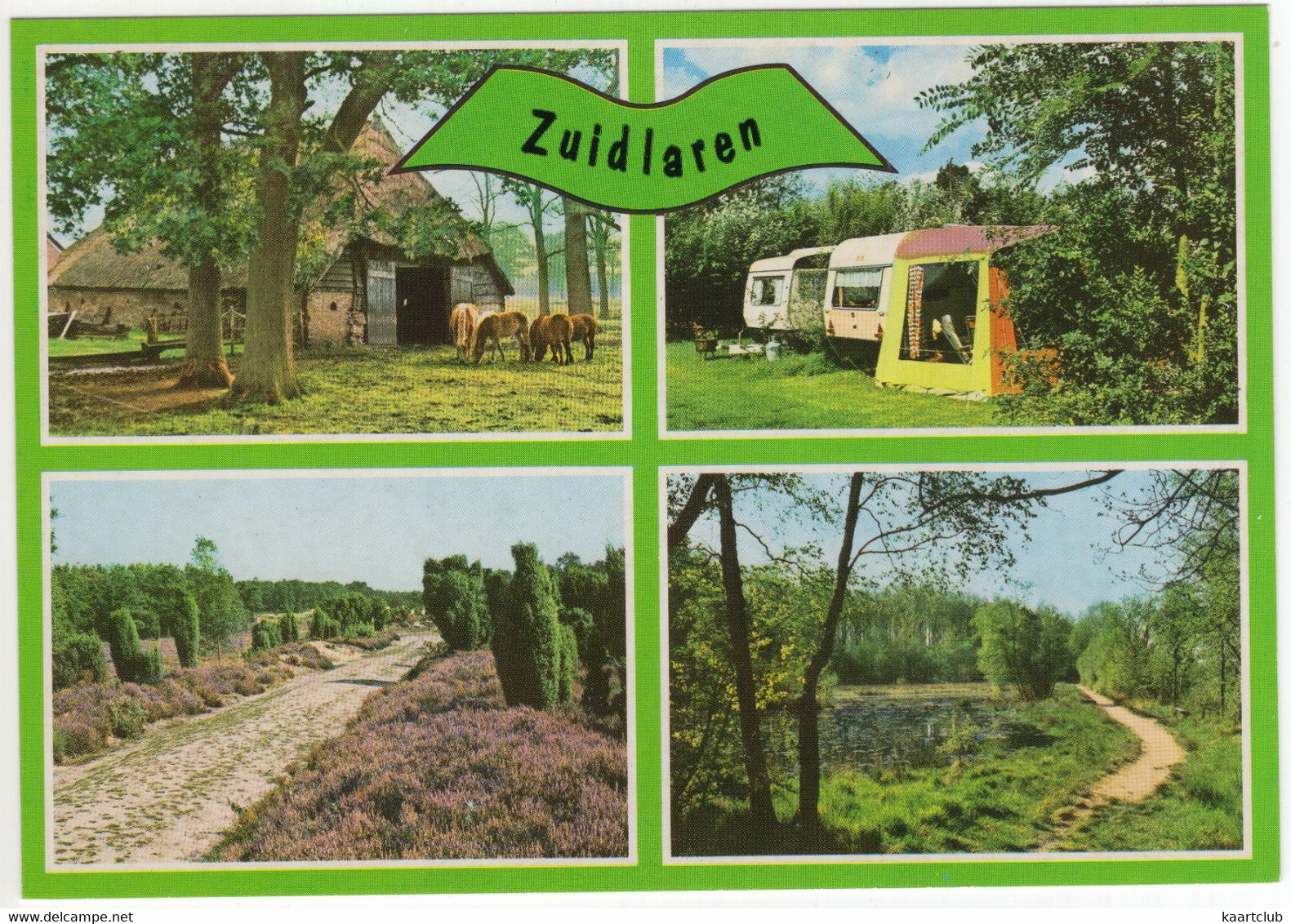 Zuidlaren - Bos En Heide, Boerderij, Camping, Caravans  - (Nederland / Holland) - Nr. 762 - Zuidlaren