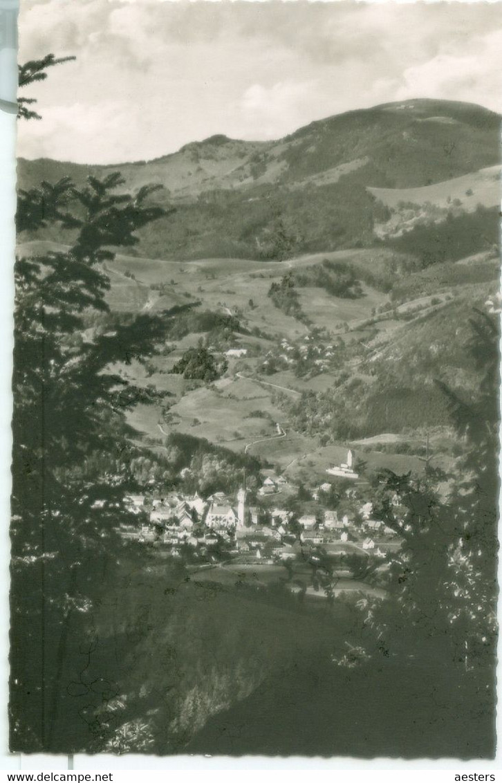 Schönau; Luftkurort Mit Belchen - Nicht Gelaufen. (Photo Müller - Schönau) - Loerrach