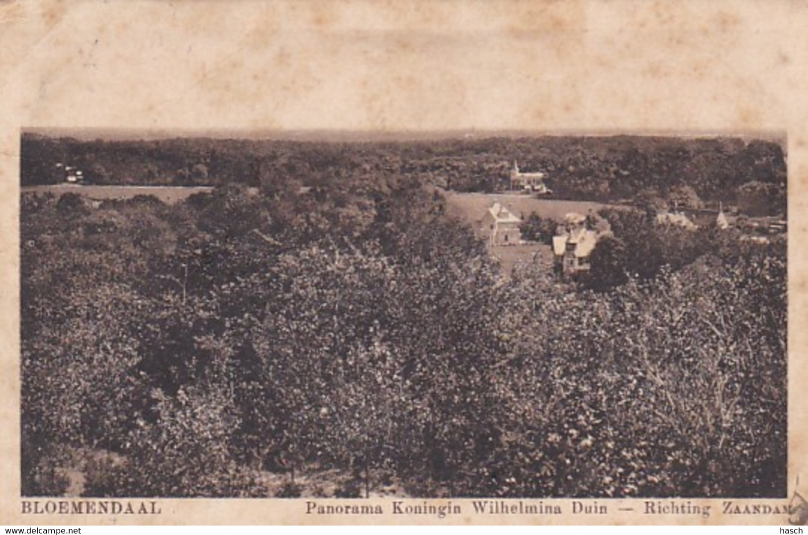 4858223Bloemendaal, Panorama Koningin Wilhelmina Duin. 1923. - Bloemendaal