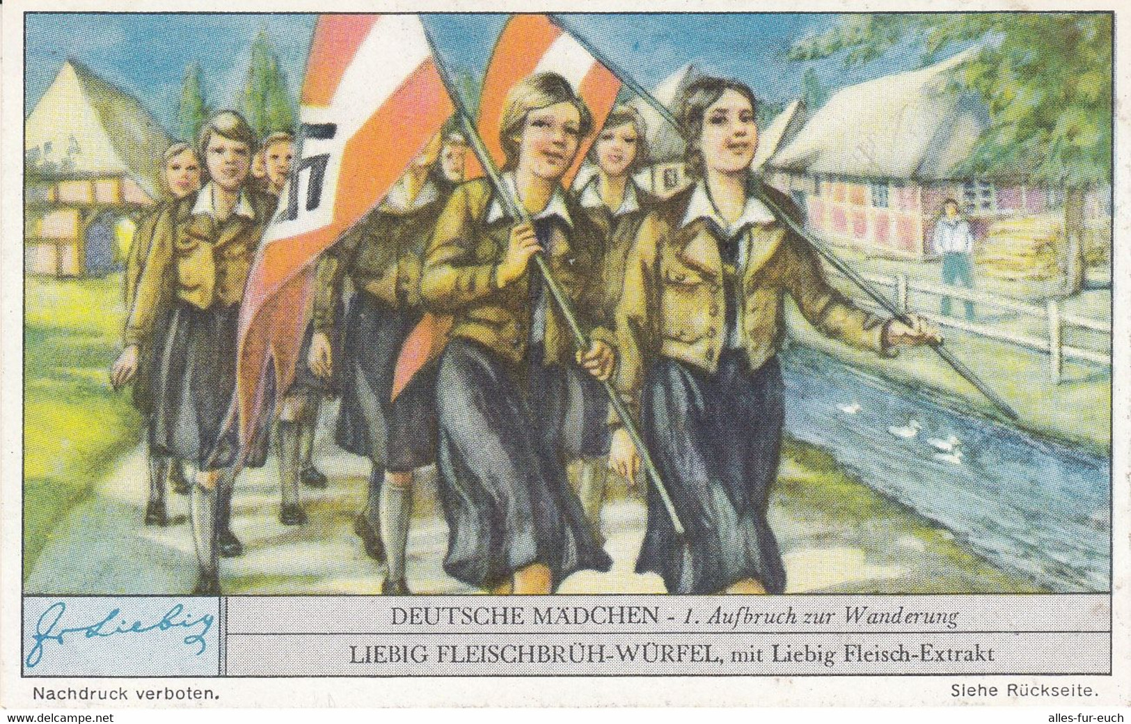 Liebig Bilder, Serie Deutsche Mädchen, NS-Propaganda, BDM, HJ, 6 Bilder Komplett - Selten - 1939-45