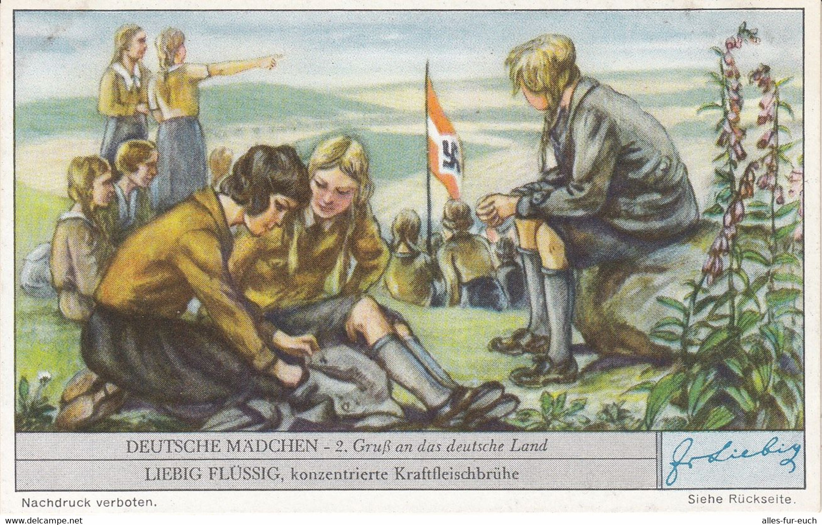 Liebig Bilder, Serie Deutsche Mädchen, NS-Propaganda, BDM, HJ, 6 Bilder Komplett - Selten - 1939-45