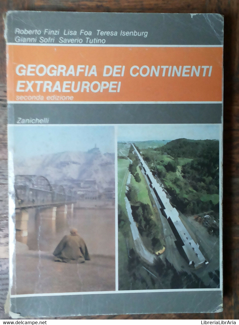 Geografia Dei Continenti Extraeuropei - AA.VV. - Zanichelli,1990 - R - Teenagers